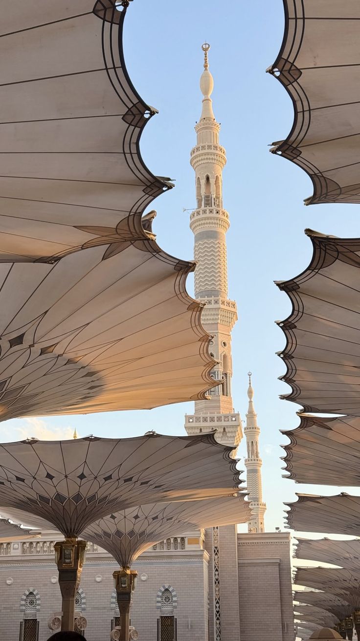 Madinah mosque canopies framing a minaret